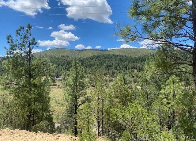 Property at Lot 40A Hwy 82, Mayhill, NM 88339