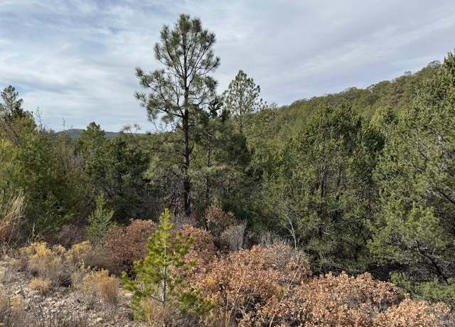Property at Lot 1 Spencer Dr, Timberon, NM 88350