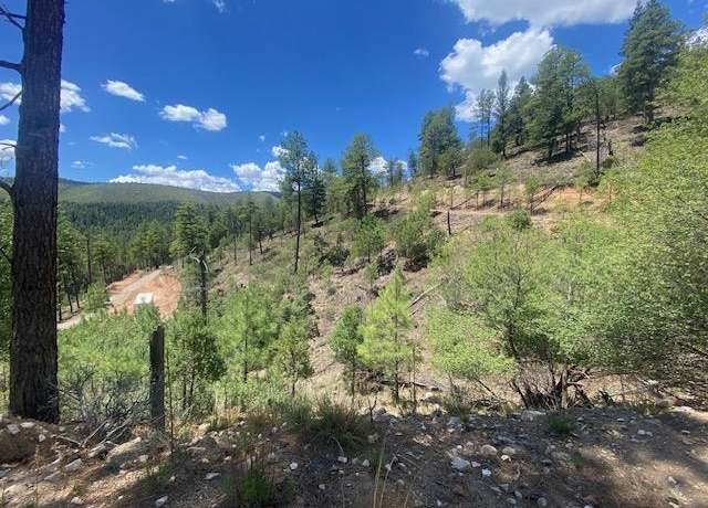 Property at 19, 20, 21, 22, Mayhill, NM 88339