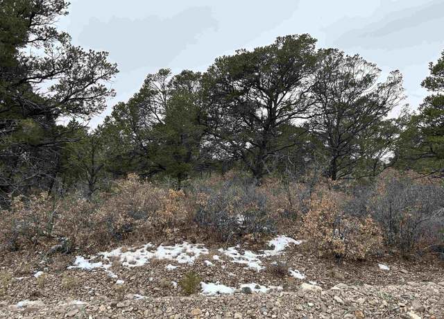 Property at Trout Dr, Timberon, NM 88350