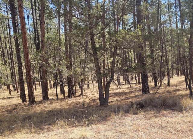Property at 25,26,27 Damascas Rd, Cloudcroft, NM 88317