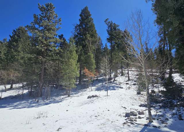 Property at 0 Chautauqua Canyon Blvd, Cloudcroft, NM 88317