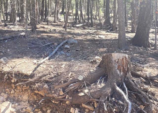 Property at 5 Forest View Rd, Cloudcroft, NM 88317