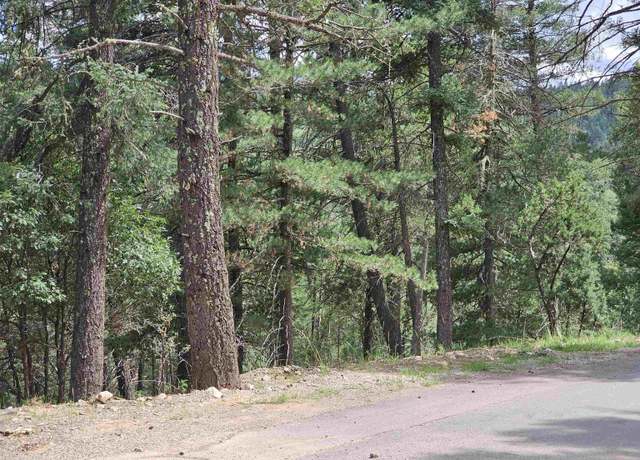 Property at Lot19 Silver Fox Trl, Mayhill, NM 88339