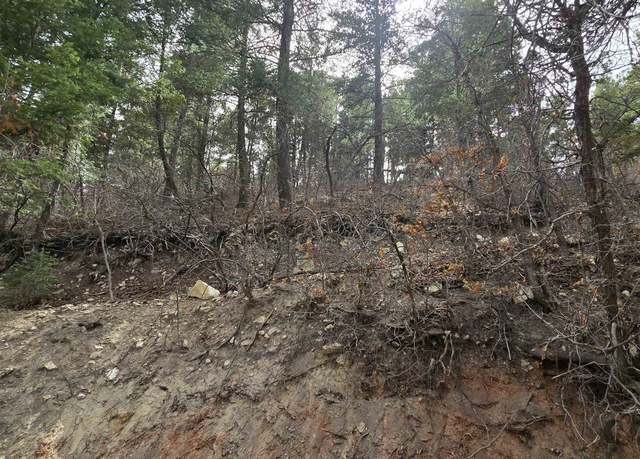 Property at Lot13 Henry Summit Dr, High Rolls Mountain Park, NM 88325