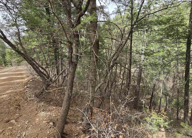 Property at Lot2 Running Water Trl, High Rolls Mountain Park, NM 88325