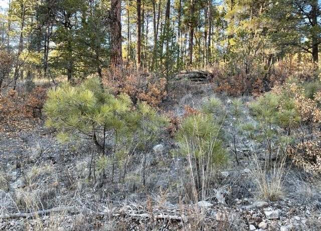 Property at L2-4 Uranus Dr, Timberon, NM 88350