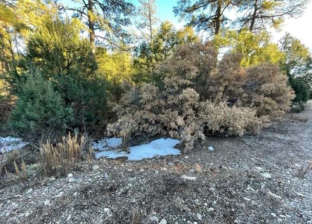 Property at L36-37 Huff Ave, Timberon, NM 88350