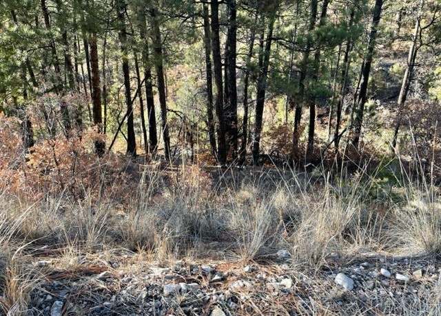 Property at L15-16 Miles Loop, Timberon, NM 88350