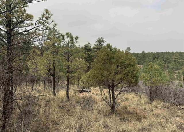 Property at Cibola Dr, Timberon, NM 88350