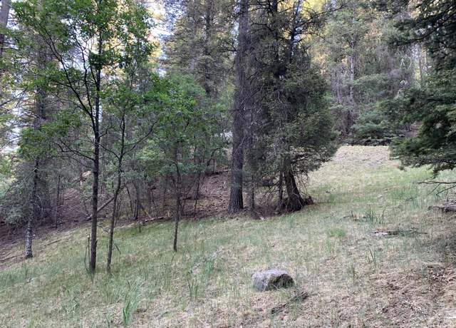 Property at 110 Wimsatt Loop, Cloudcroft, NM 88317