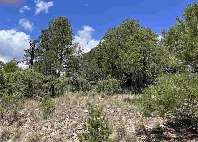 Property at 14 Milton Rd, Timberon, NM 88350