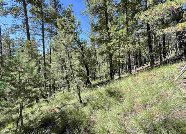 Property at Silver Fox Trl, Cloudcroft, NM 88317