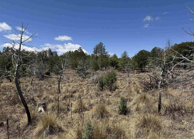 Property at Waialae Dr, Timberon, NM 88350