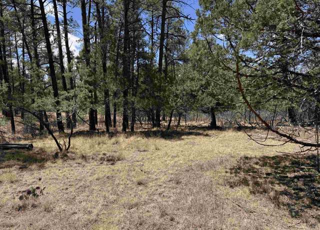 Property at Oakmont Dr, Timberon, NM 88350