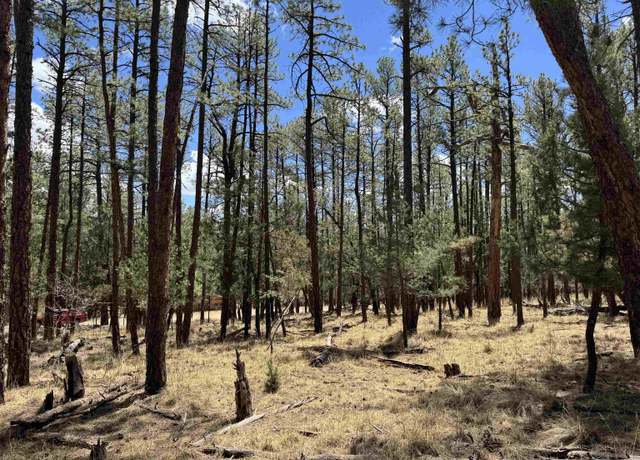 Property at Damascus Rd, Timberon, NM 88350