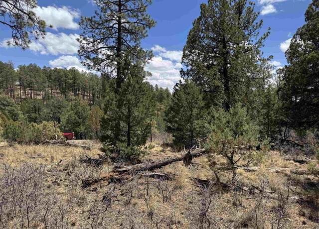 Property at Huff Ave, Timberon, NM 88350