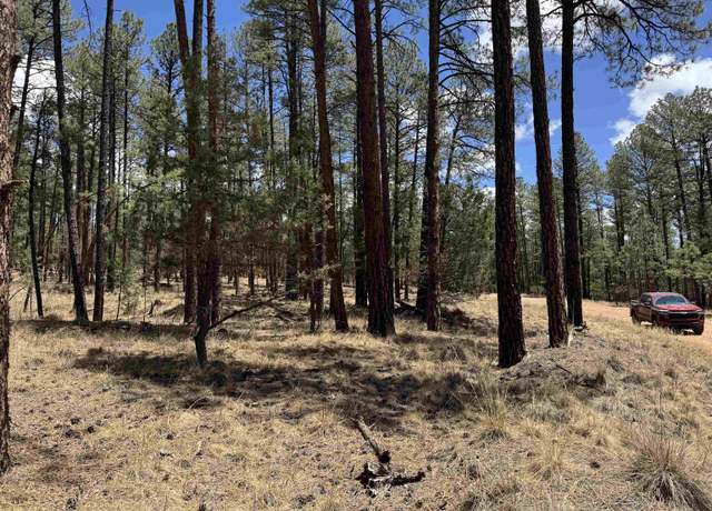 Property at Balkans Dr, Timberon, NM 88350