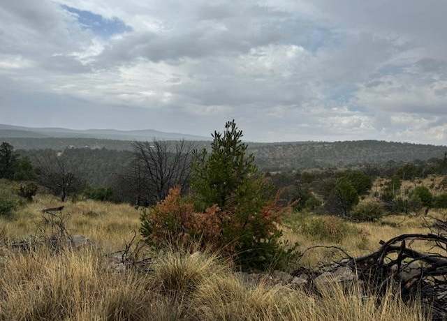 Property at 440 Perch Dr, Timberon, NM 88350