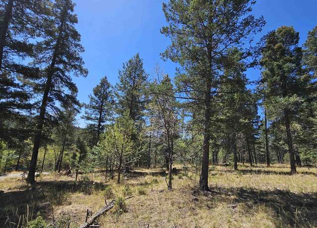 Property at 0 Red Maple, Mayhill, NM 88339