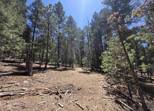 Property at 239 Dry Canyon Rd, Cloudcroft, NM 88317