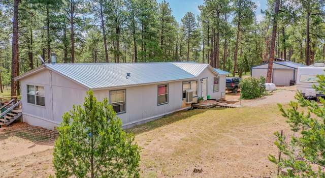 Photo of 485 Dixwood Dr, Timberon, NM 88350