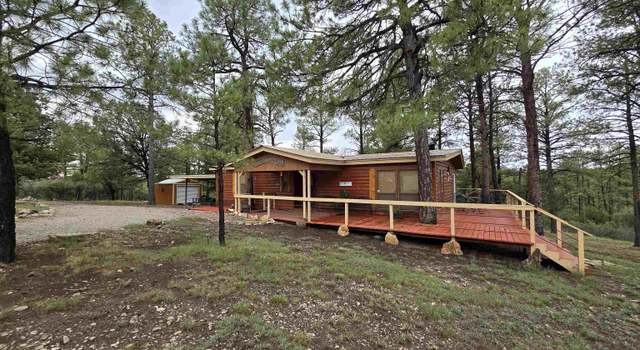 Photo of 20 Joe Fetters Ln, Timberon, NM 88350