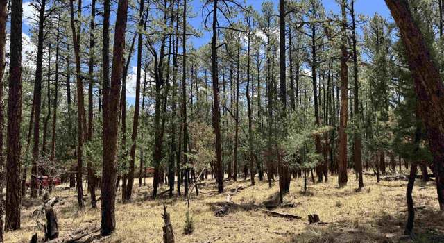Photo of Damascus Rd, Timberon, NM 88350