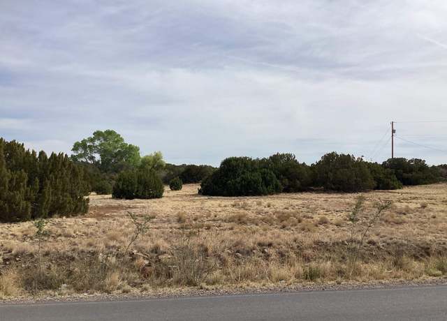 Property at 63 Rosedale Rd, Silver City, NM 80062