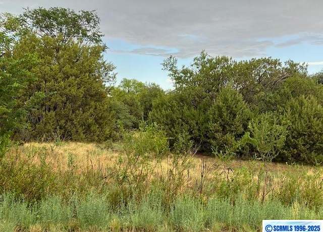 Property at 2X Rosedale Rd, Silver City, NM 88061