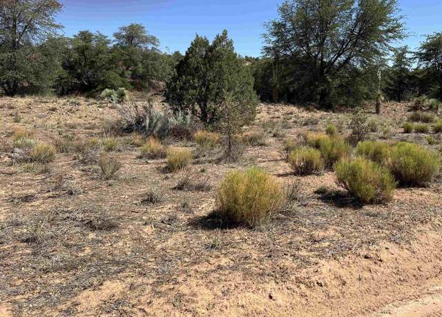 Property at 1X Chaparral Trl, NM 88061