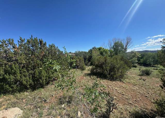 Property at 2255 Pinos Altos Rd, Silver City, NM 88061