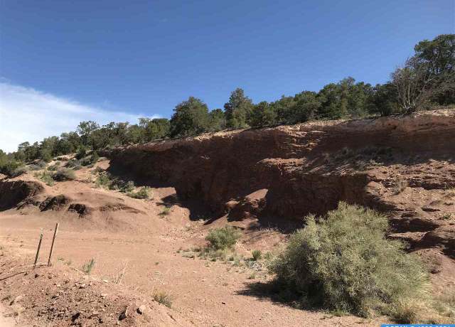 Property at 00 Limestone Quarry MS 1723, Silver City, NM 88061