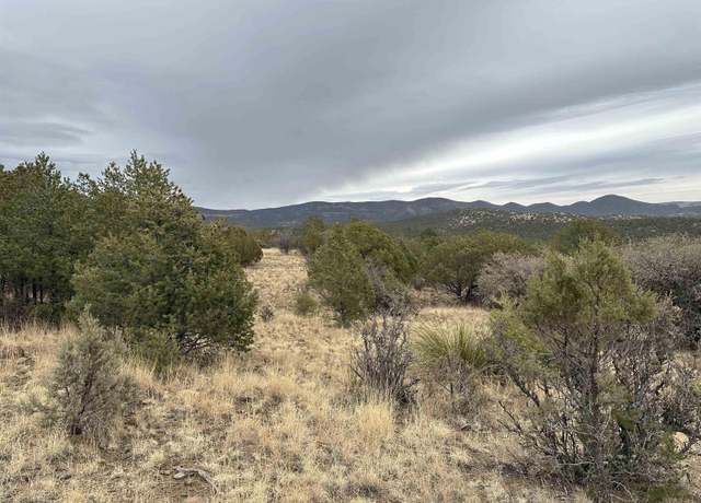 Property at XXX Xyz Ranch Rd, Silver City, NM 88061