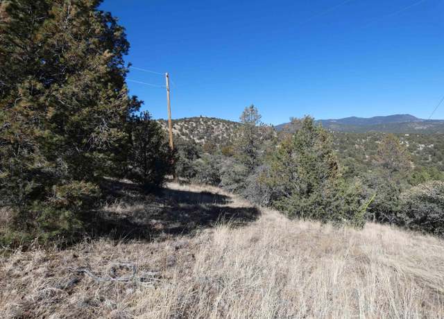 Property at 9-1 Tract Nizhoni Loop, Silver City, NM 88061