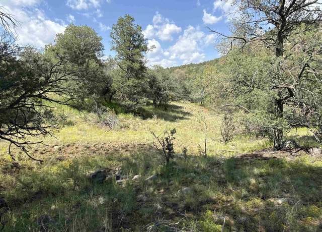 Property at XY Black Dog Rd, Silver City, NM 88061