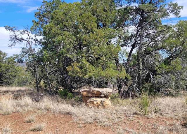 Property at XX Moon Shadow, Hanover, NM 88041