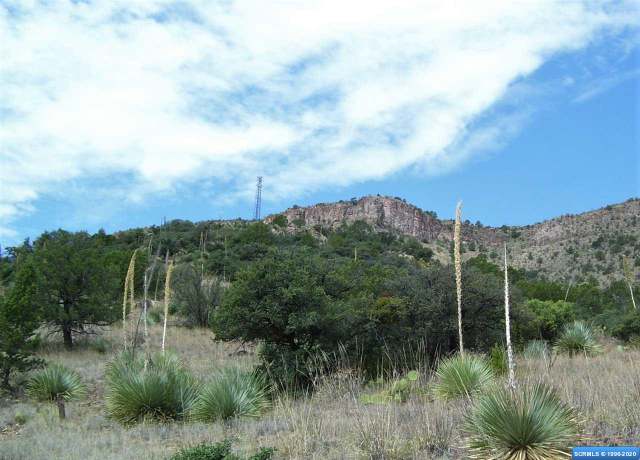 Property at Lot 38 Caballo Blanco Rd Lot 38, Mimbres, NM 88049