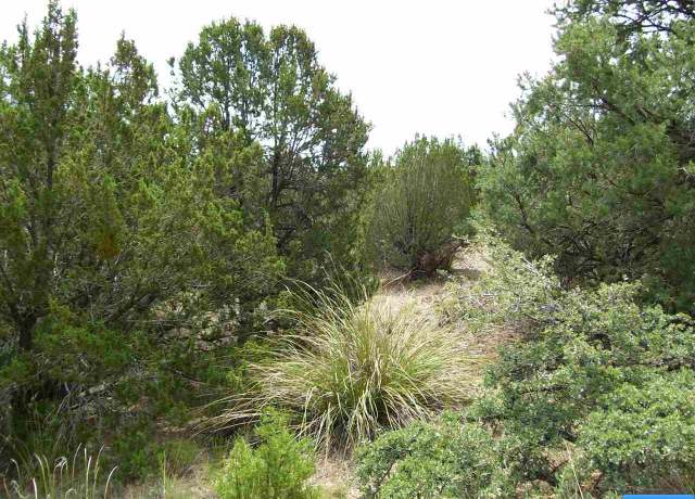 Property at 318 Las Palomas Rd Lot 23, Mimbres, NM 88049
