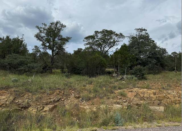 Property at XX N Swan St, Silver City, NM 88061