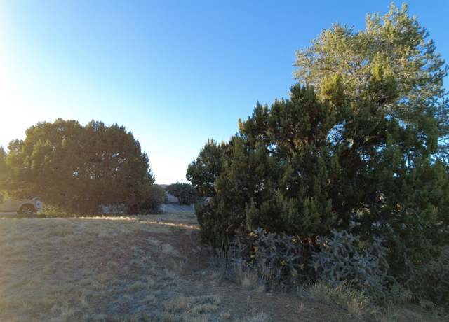 Property at ## Los Encinos, Silver City, NM 88061