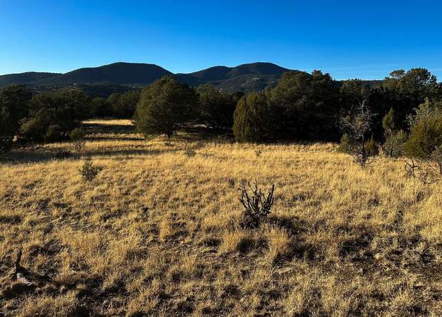 Property at 100 Black Dog Rd, Silver City, NM 88061