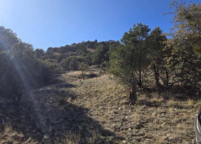 Property at xx Black Dog Rd, Silver City, NM 88061