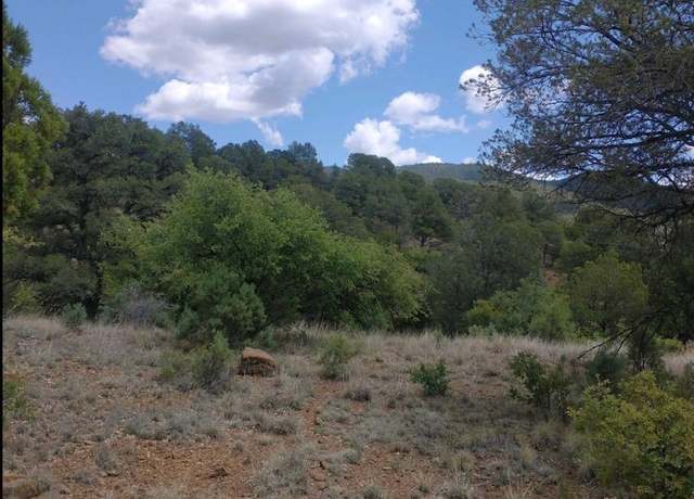 Property at xx Cleveland Mine Rd, Silver City, NM 88061
