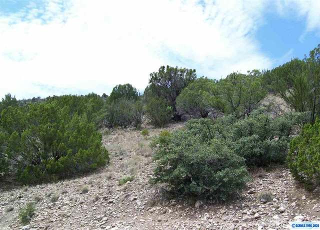 Property at 282 Caballo Blanco Rd Lot 34, Mimbres, NM 88049
