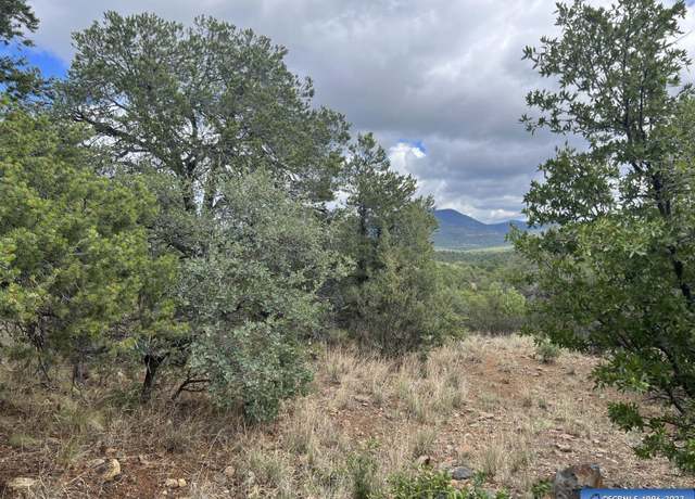 Property at 415 Xyz, Arenas Valley, NM 88022