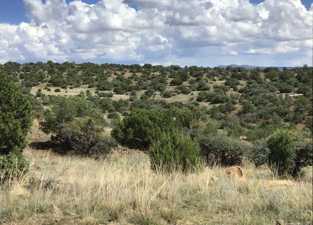Property at Lot 3 Hwy 15, Silver City, NM 88061