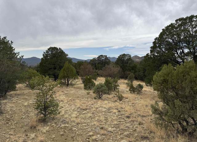 Property at xxx Nikki's Rd, Silver City, NM 88061