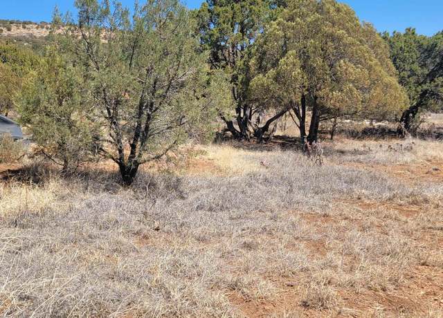 Property at 10 Mule Shoe Rd, Hanover, NM 88041