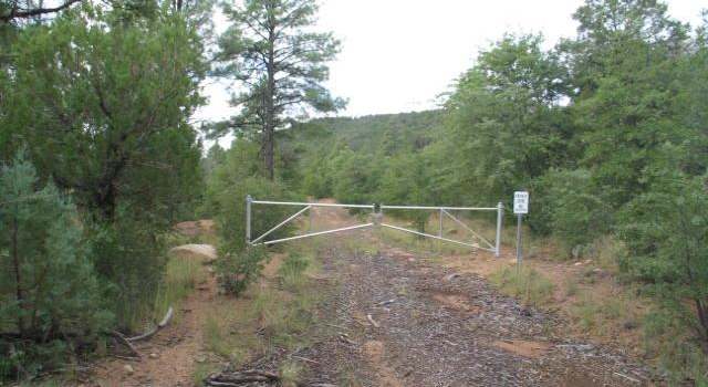 Photo of 20 Mystic Way, Pinos Altos, NM 88053
